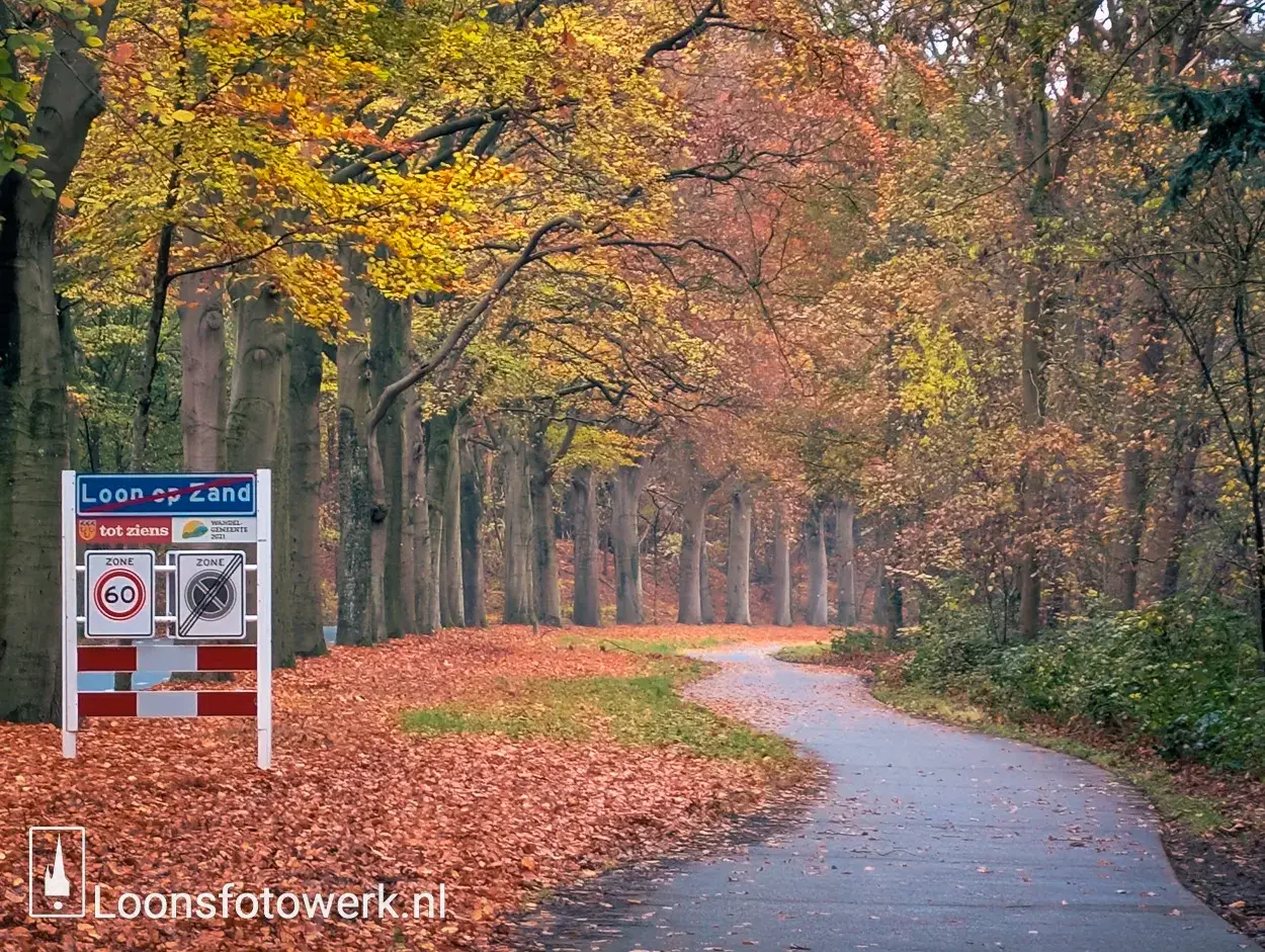 De Bergstraat in herfstkleuren