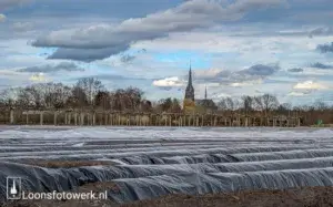 Welkom bij Loonsfotowerk 4 Bisarsteeg De Moer