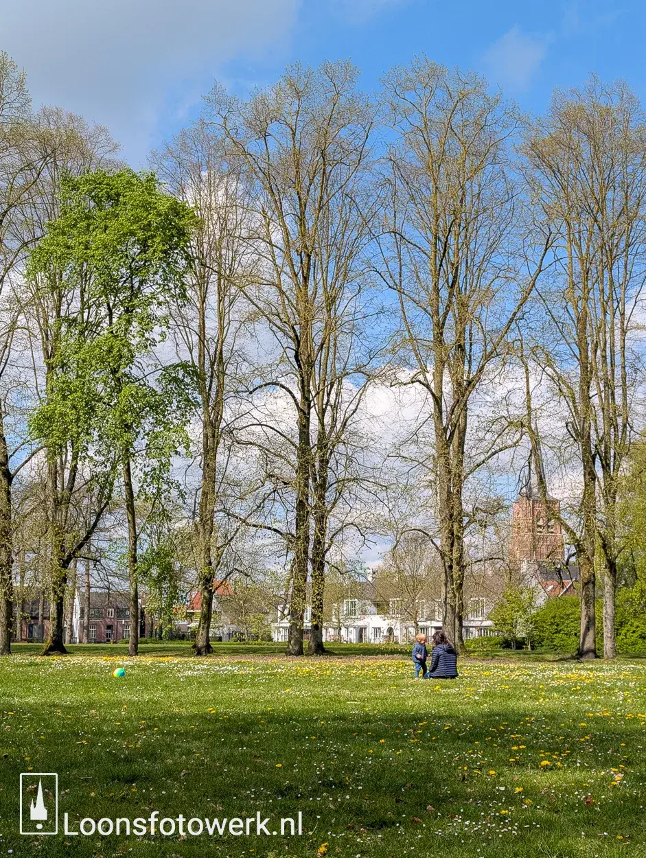 Kasteelweide