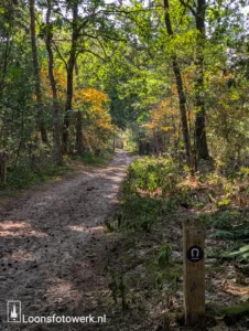 Welkom bij Loonsfotowerk 2 Herfstgevoel in de Loonse en Drunense Duinen