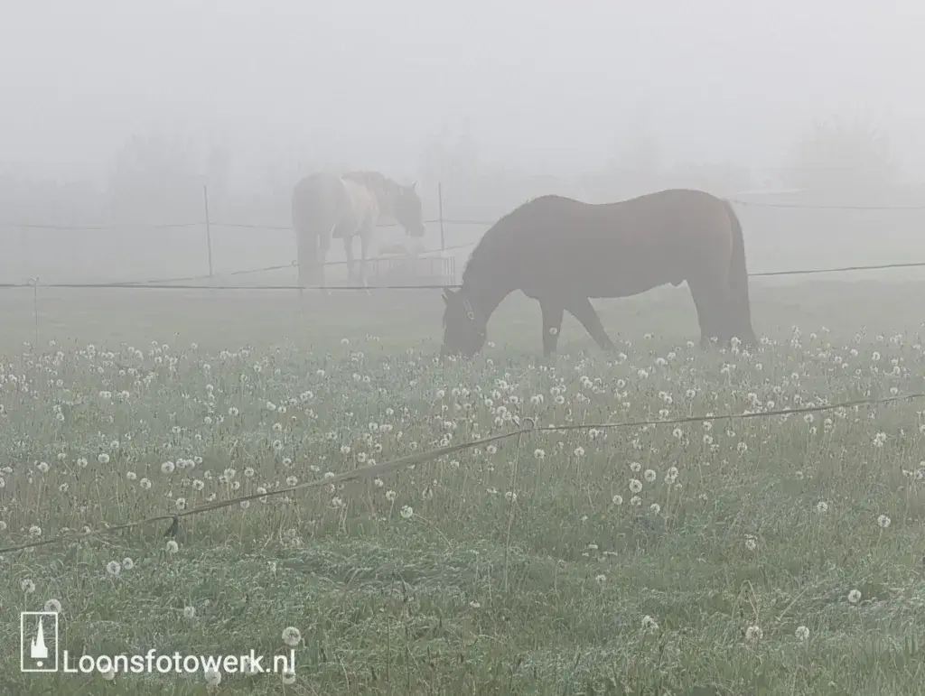 Omgeving Loon op Zand gehuld in witte dekens