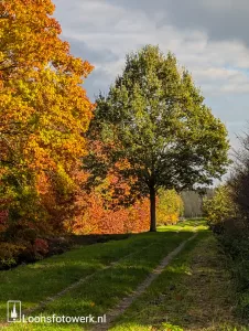 Eindelijk het Noorderbos gehaald