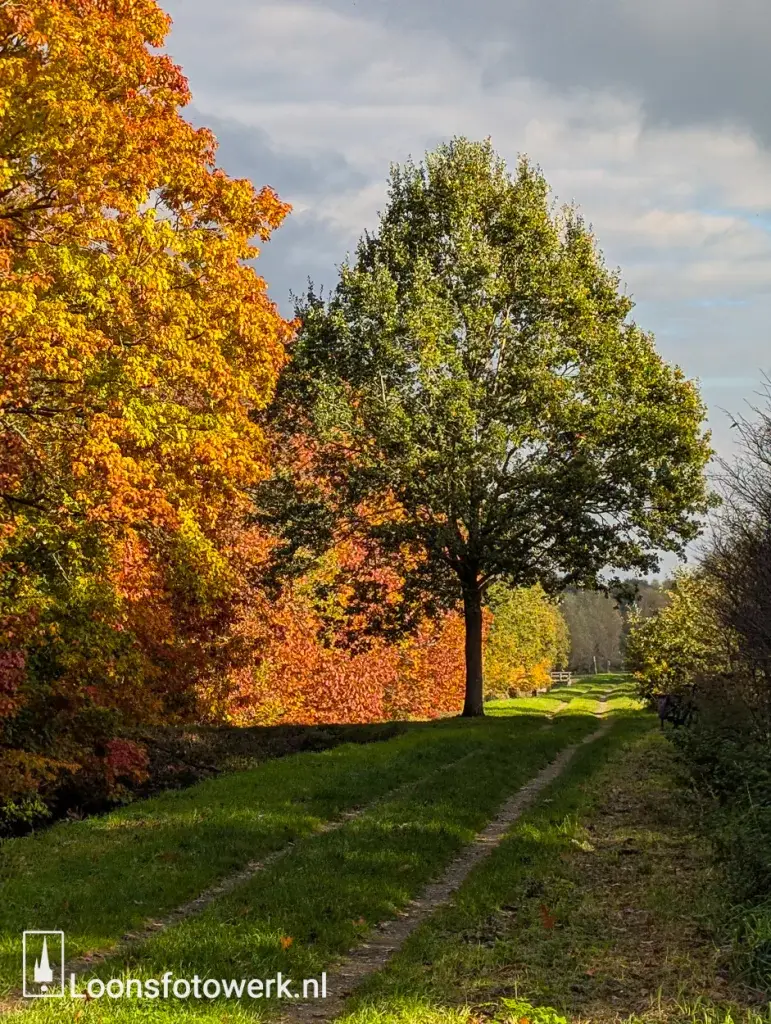 Eindelijk het Noorderbos gehaald